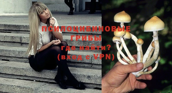 mdpv Мегион
