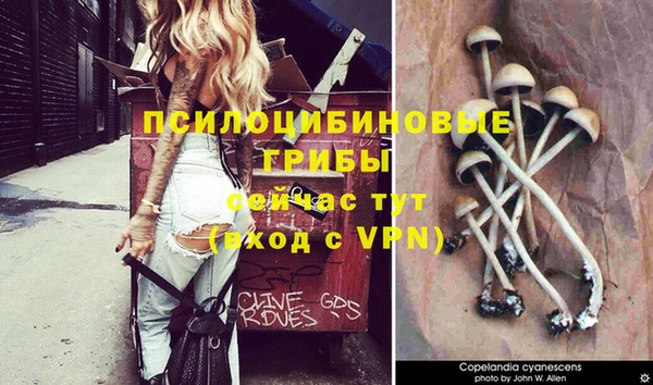 герыч Медвежьегорск