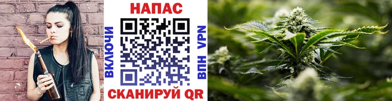 Купить где  Афипский  МАРИХУАНА SATIVA & INDICA 